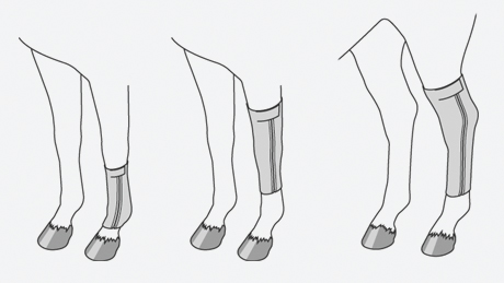 Pressage Bandage - Kent